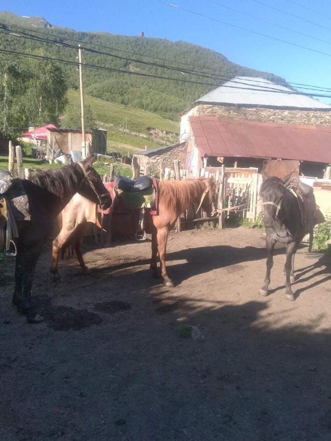 Guesthouse Lika Ushguli ภายนอก รูปภาพ